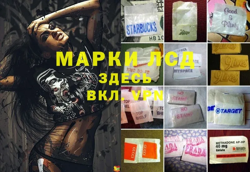 LSD-25 экстази кислота Алексин