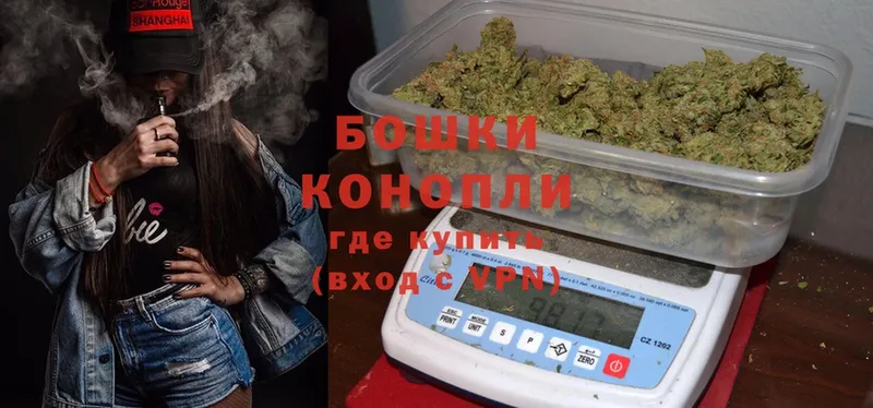 Конопля OG Kush  где найти   Алексин 